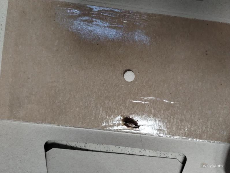 Ilustrační fotografie č. 4