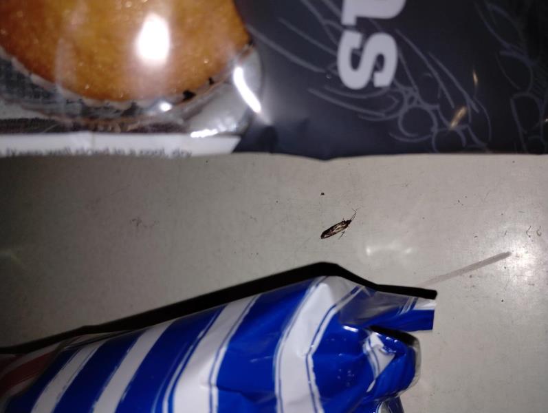 Ilustrační fotografie č. 7