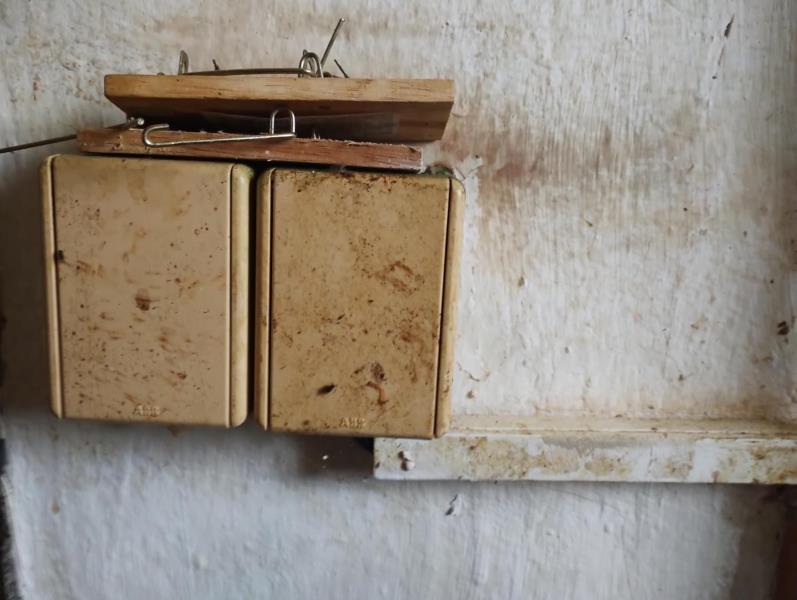 Ilustrační fotografie č. 13