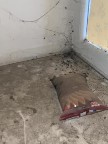 Ilustrační fotografie č. 7