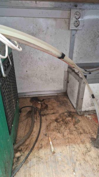 Ilustrační fotografie č. 7