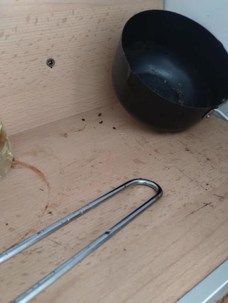 Ilustrační fotografie č. 15