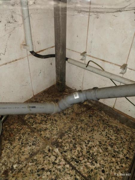 Ilustrační fotografie č. 8