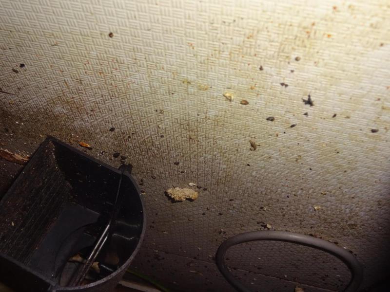 Ilustrační fotografie č. 5