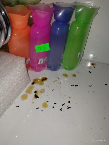 Ilustrační fotografie č. 8