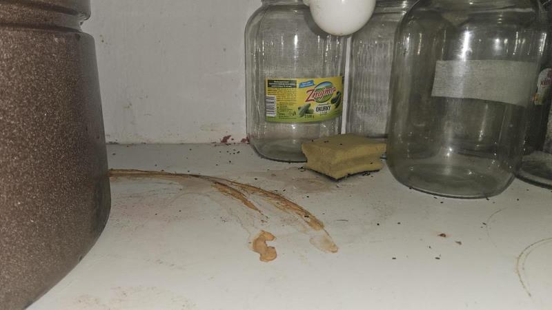 Illustrative photo no. 16