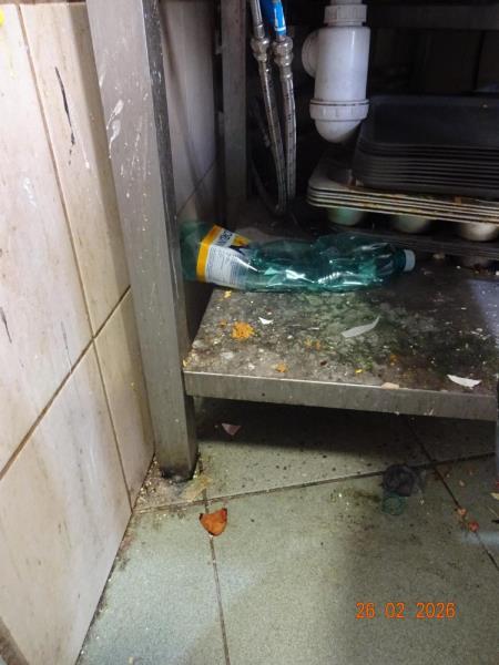 Ilustrační fotografie č. 2