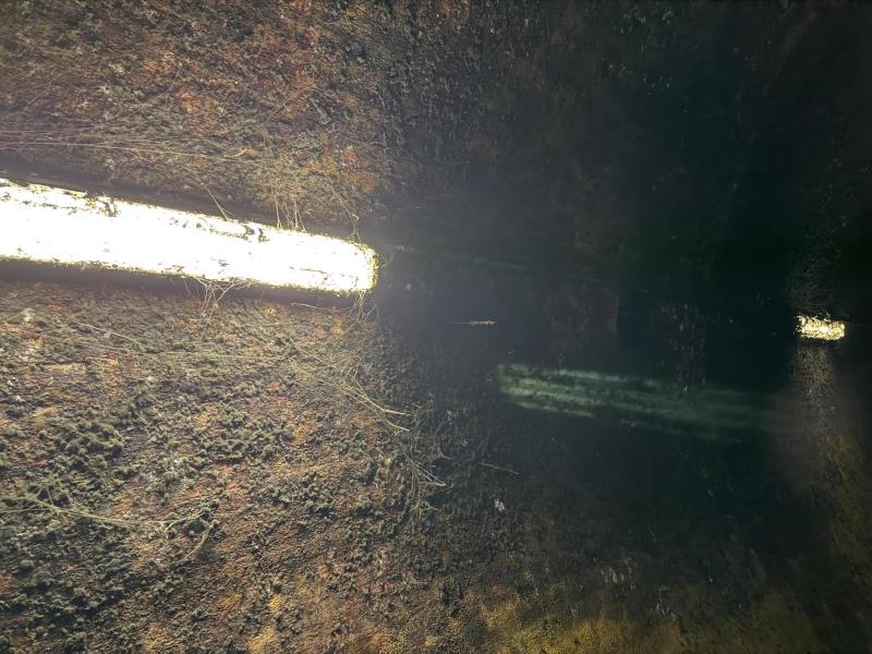 Ilustrační fotografie č. 27