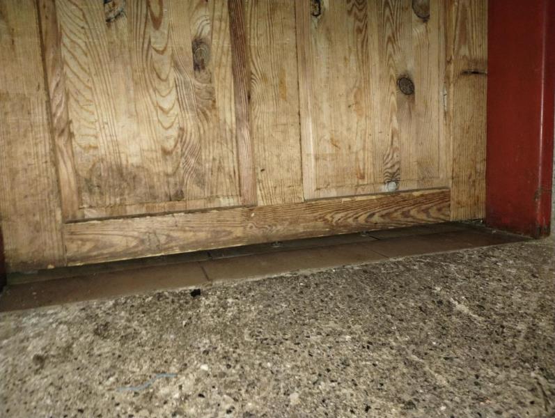 Ilustrační fotografie č. 13