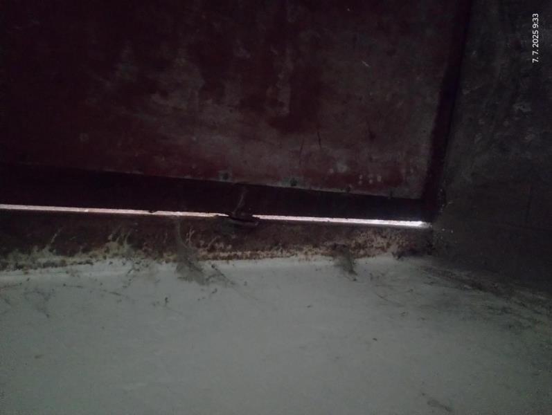 Ilustrační fotografie č. 16