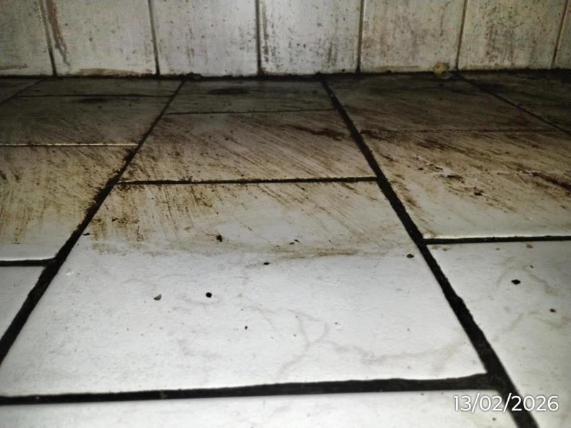 Ilustrační fotografie č. 3