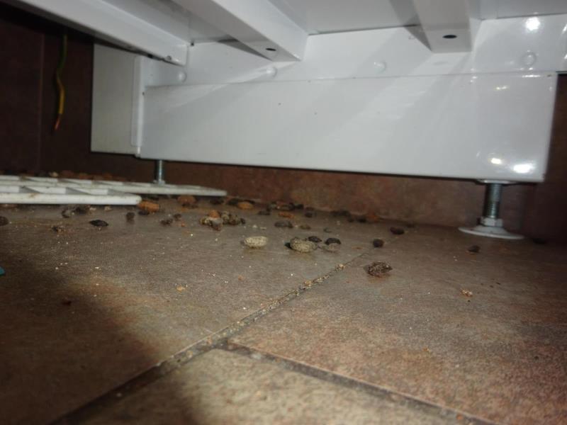 Ilustrační fotografie č. 6