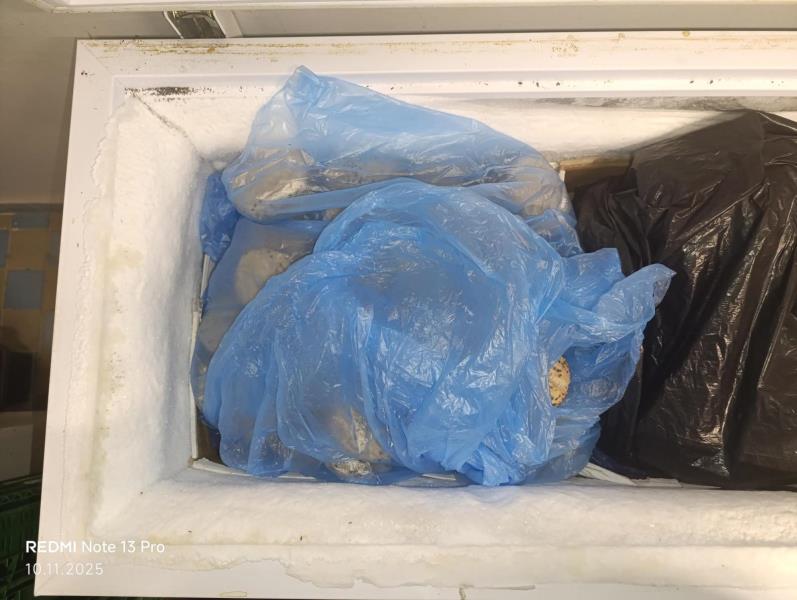 Ilustrační fotografie č. 5