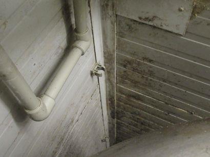 Illustrative photo no. 5