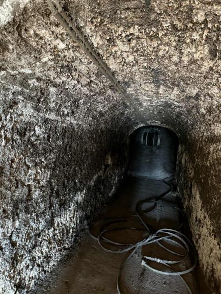 Ilustrační fotografie č. 15