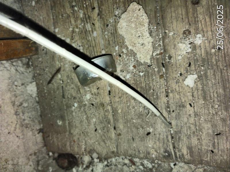 Ilustrační fotografie č. 16