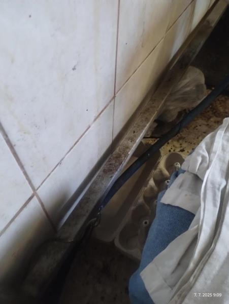 Ilustrační fotografie č. 11