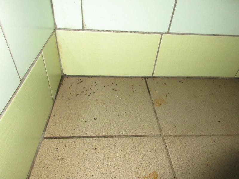 Illustrative photo no. 10