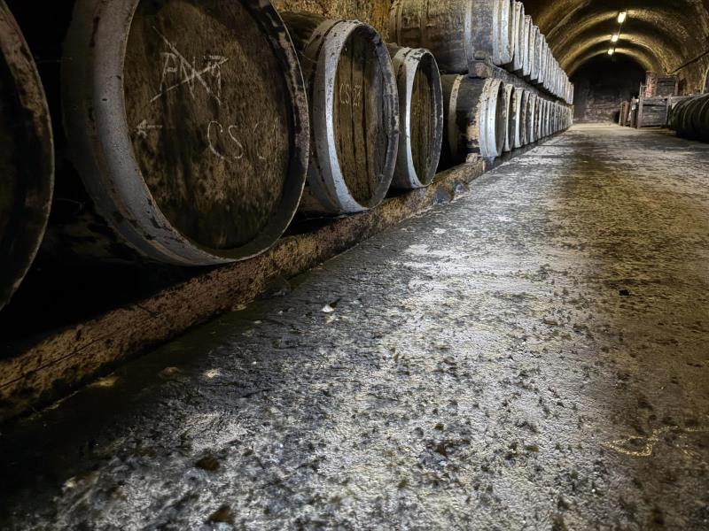 Ilustrační fotografie č. 20