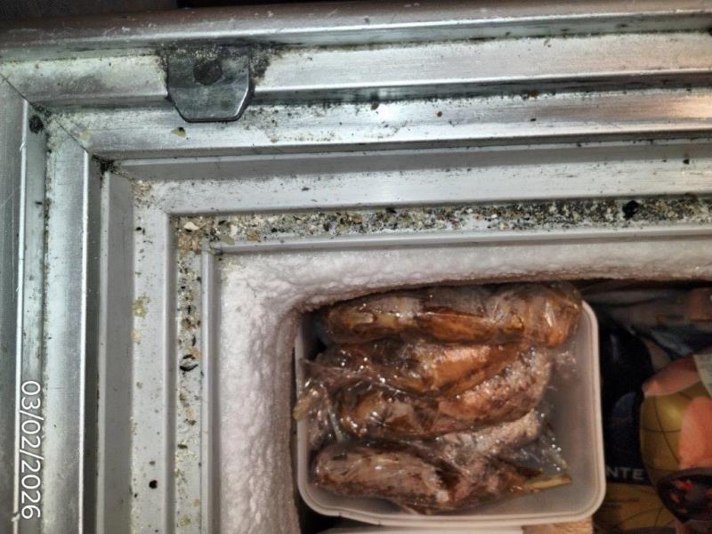 Ilustrační fotografie č. 19