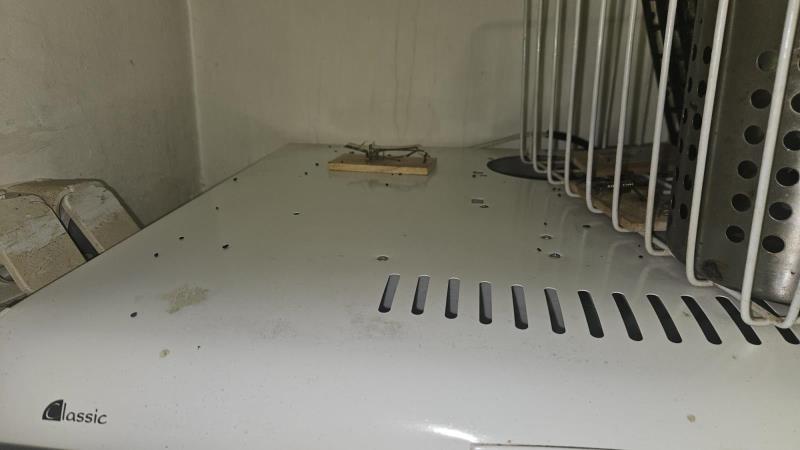 Illustrative photo no. 2