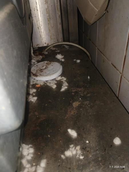 Ilustrační fotografie č. 10