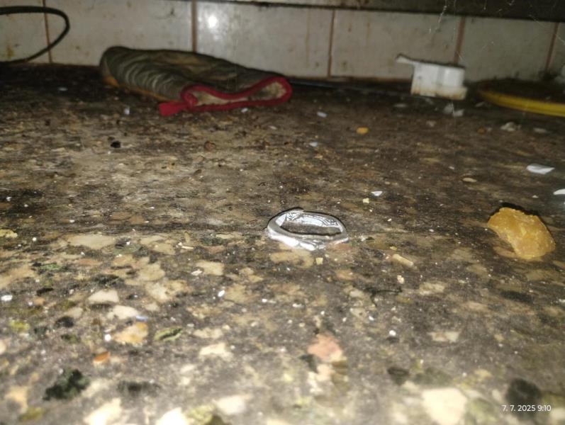 Ilustrační fotografie č. 12