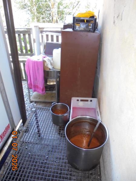 Illustrative photo no. 14