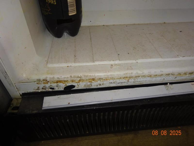 Ilustrační fotografie č. 2