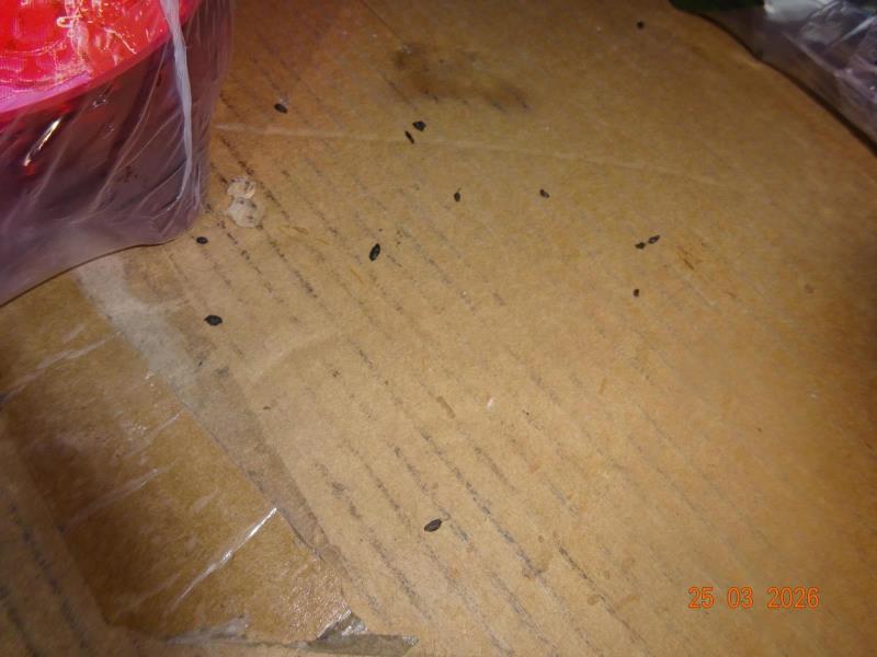 Ilustrační fotografie č. 3