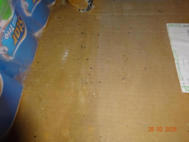 Ilustrační fotografie č. 5