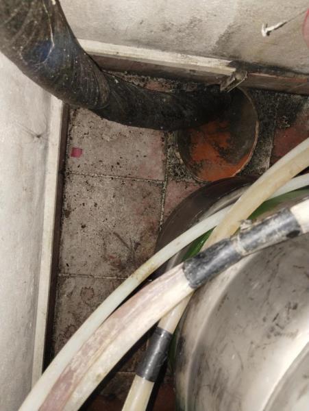 Ilustrační fotografie č. 17