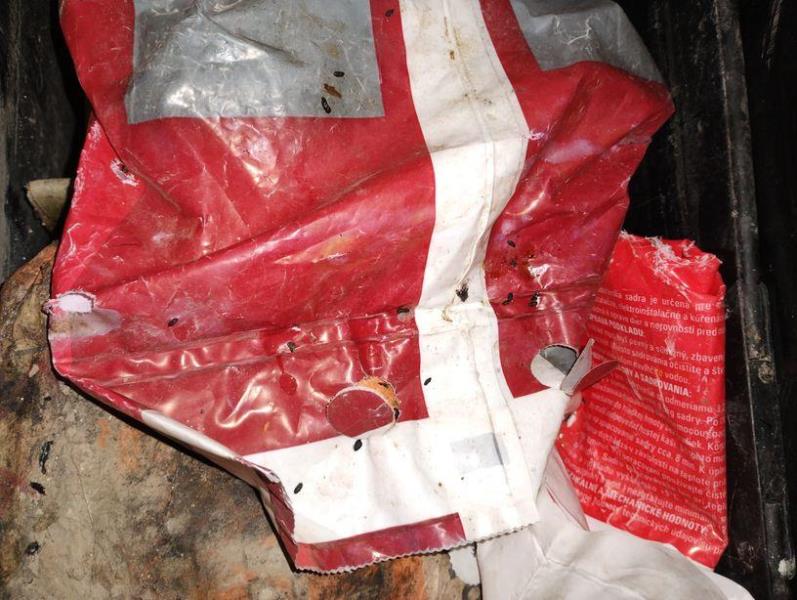 Ilustrační fotografie č. 2