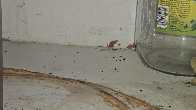 Illustrative photo no. 15