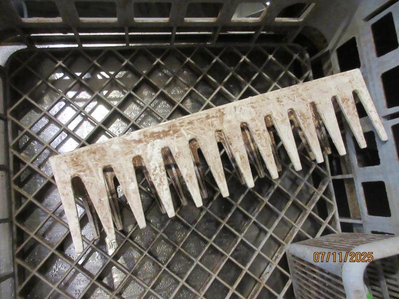 Ilustrační fotografie č. 5