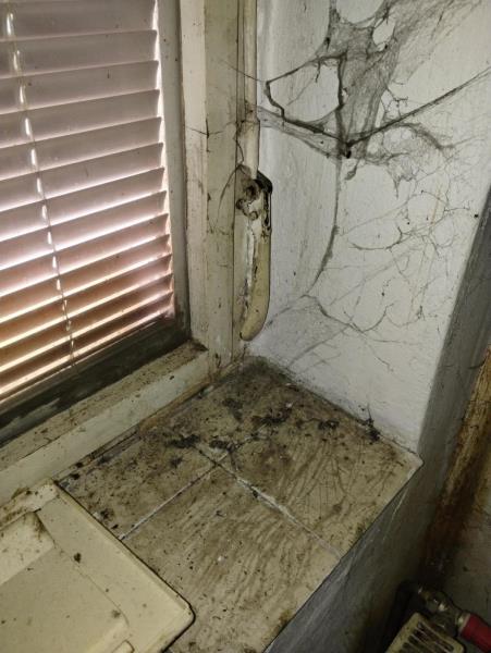 Ilustrační fotografie č. 18