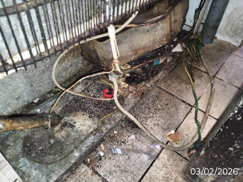 Ilustrační fotografie č. 21