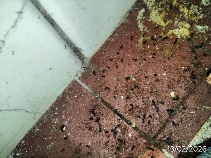 Ilustrační fotografie č. 8