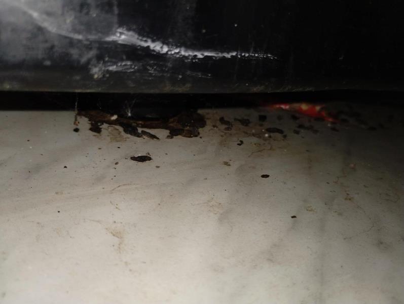 Ilustrační fotografie č. 7