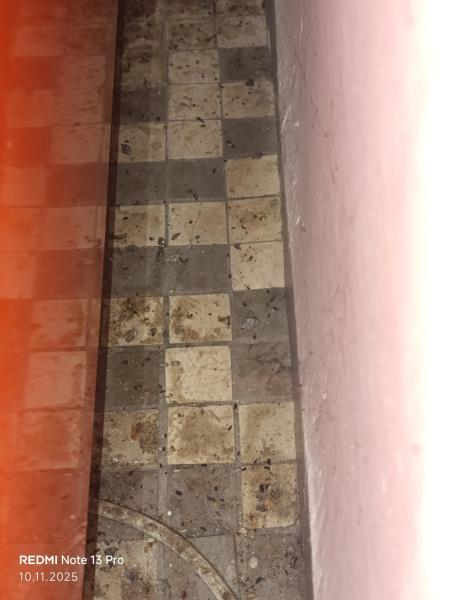 Ilustrační fotografie č. 13