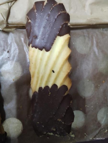 Ilustrační fotografie č. 2