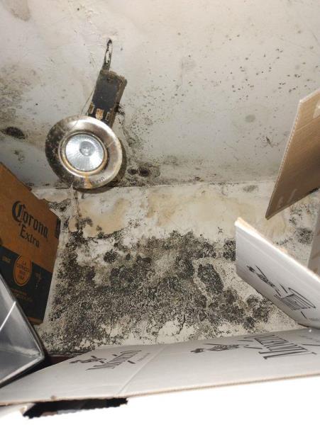 Ilustrační fotografie č. 6