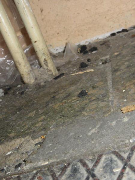 Ilustrační fotografie č. 6