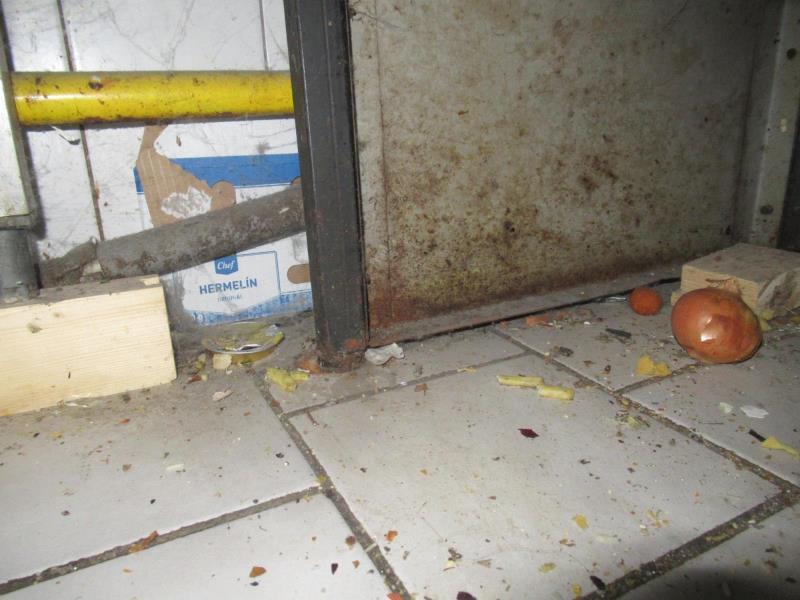 Ilustrační fotografie č. 2