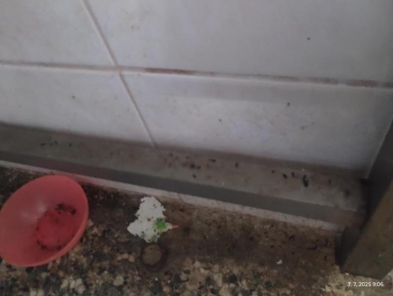 Ilustrační fotografie č. 6