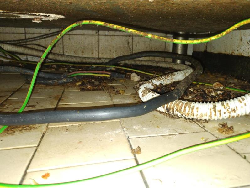 Ilustrační fotografie č. 9