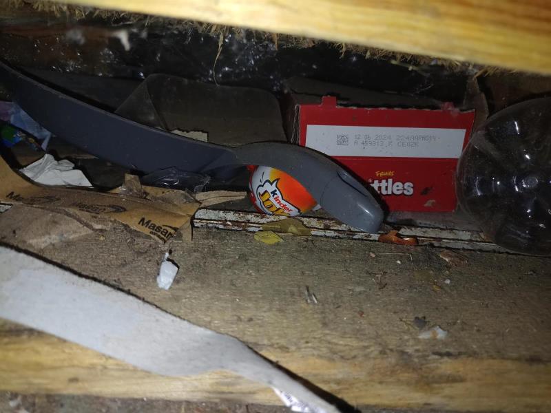 Ilustrační fotografie č. 21