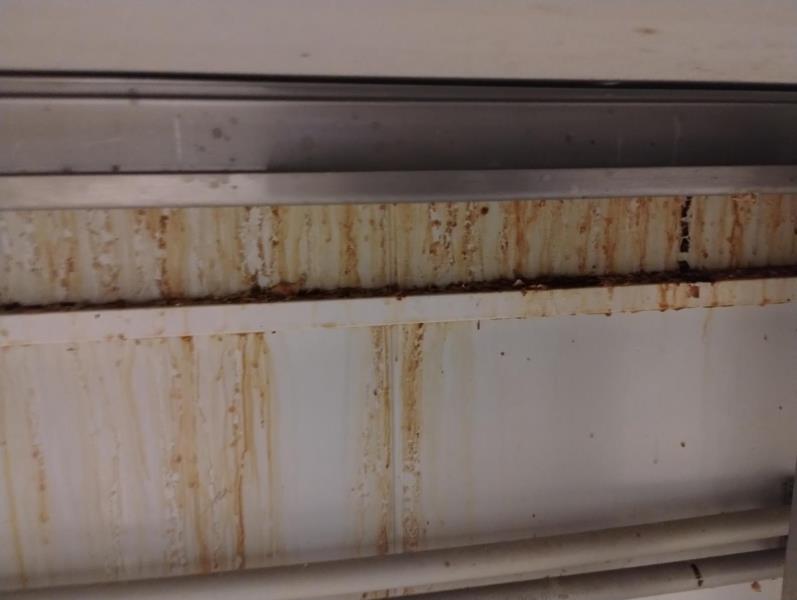 Ilustrační fotografie č. 15