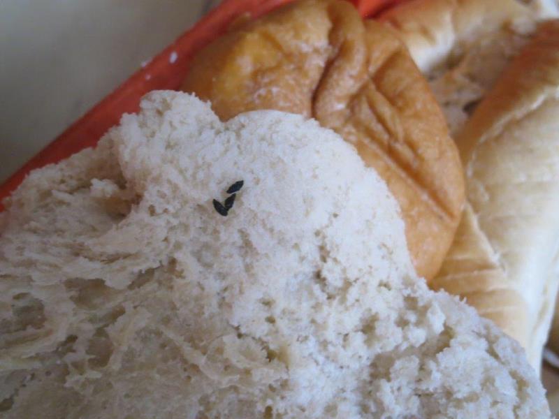 Ilustrační fotografie č. 8