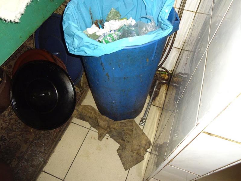 Ilustrační fotografie č. 2